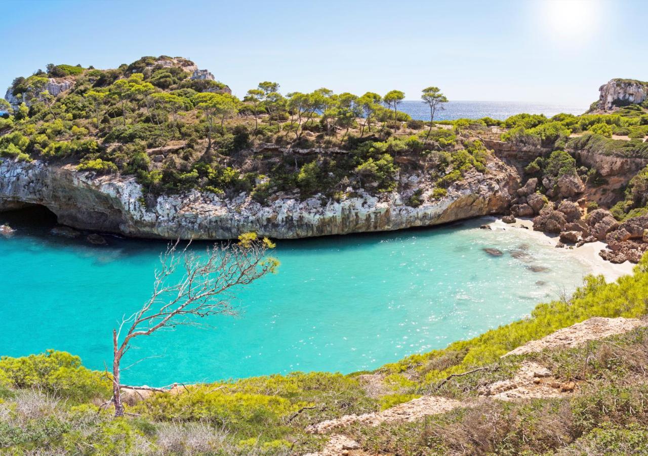 Marblau Mallorca Cala Figuera  Buitenkant foto